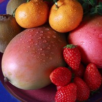 エル・ダンジュナゴヤ - 