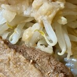 ラーメン専門 宮の森 - さらにアップ