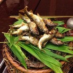 本湖月 - 琵琶湖の稚鮎