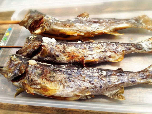 釣った魚をその場で串焼き By Markun 岩ノ沢養魚 岩原スキー場前 シーフード 食べログ 釣った魚をその場で串焼き By Markun 岩ノ沢養魚 岩原スキー場前 シーフード 食べログ