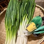 らぁ麺 鴨と葱  - 