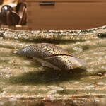 箱崎町すみと - 