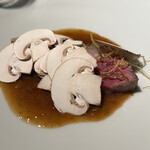 セルサルサーレ - 