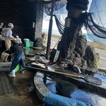 活魚料理 びんび家 - 