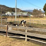 ささき牧場カフェ - 