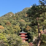 四季彩うどん 華きんとん - 