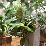 ロートレシピ - 