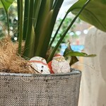 ロートレシピ - 