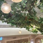 ロートレシピ - 