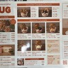 PUG ららぽーと福岡店