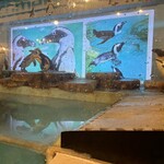 ペンギンのいるダイニングバー沖縄 - 