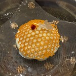 ガストロノミー ジョエル・ロブション - 