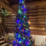 自家製ハンバーグの店 ログログ - 