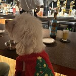 お料理 五勝手 - 