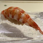 鮨 なかや - 車海老　沖縄　半生