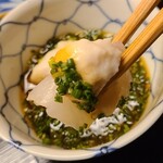 道人 - ④虎河豚(山口県下関産)、虎河豚白子入りポン酢添え 
      朝〆でプリッとしつつコリ感もあり、表面には潤いのある光沢、寝かせが浅いのに旨みが何処よりも引き出されており、何回頂いてもいつも驚きしかない！