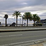 杉国商店 - 伊東オレンジビーチをのぞむ。