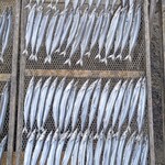 杉国商店 - 干物の天日干し②。