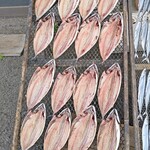 杉国商店 - 干物の天日干し①。
