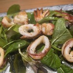 春近 GABA SOBA Lab - 