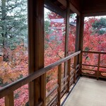 下鴨茶寮 本店 - 