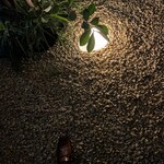 GARDEN HOUSE - 窓際庭園の足元