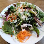 HAIJI - ベビーリーフ