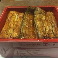 割烹 蒲焼 大沼 - うな重（特上）