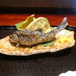 日本料理 崇 - アマゴ炭火焼き
