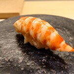 鮨 なんば - 車海老 38℃/38℃