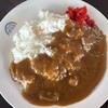 サンテラスぱのらま - 