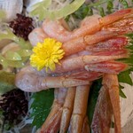 寿司割烹今井 - ぷりぷり