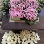 ウエスト青山ガーデン - 