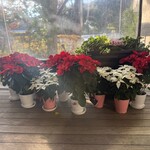 ウエスト青山ガーデン - 