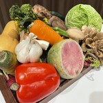 JINBO MINAMI AOYAMA - 