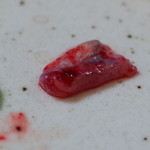 かぶと - 心臓 ぴくぴく動いています 2014.12.x