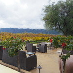 Robert Mondavi Winery - 