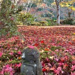 らぁ麺 とうひち - 