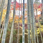 らぁ麺 とうひち - 