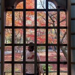 らぁ麺 とうひち - 