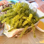 ランブルフィッシュ - 