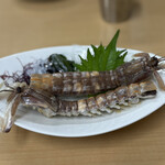 おかもと鮮魚店  - 