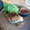 炭火焼ハンバーグPonte