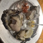 FAST OYSTERS - 