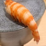 五反田鮨 SUSHI TOKYO 81 - 