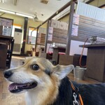 活き活き家 - ボックス席