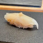 鮨 はやたか - アオリイカ