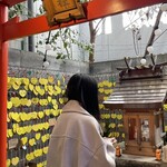 chicken&tacos雷鳥神社 - 