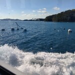 的矢かきテラス - 