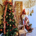 ツキガワドライブイン - ワンちゃんゾーンのフォトスポット